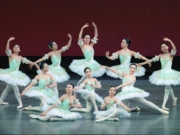 2010 Ballet Photo.JPG